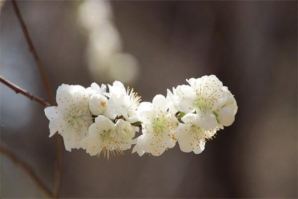 重疾险保险公司对比